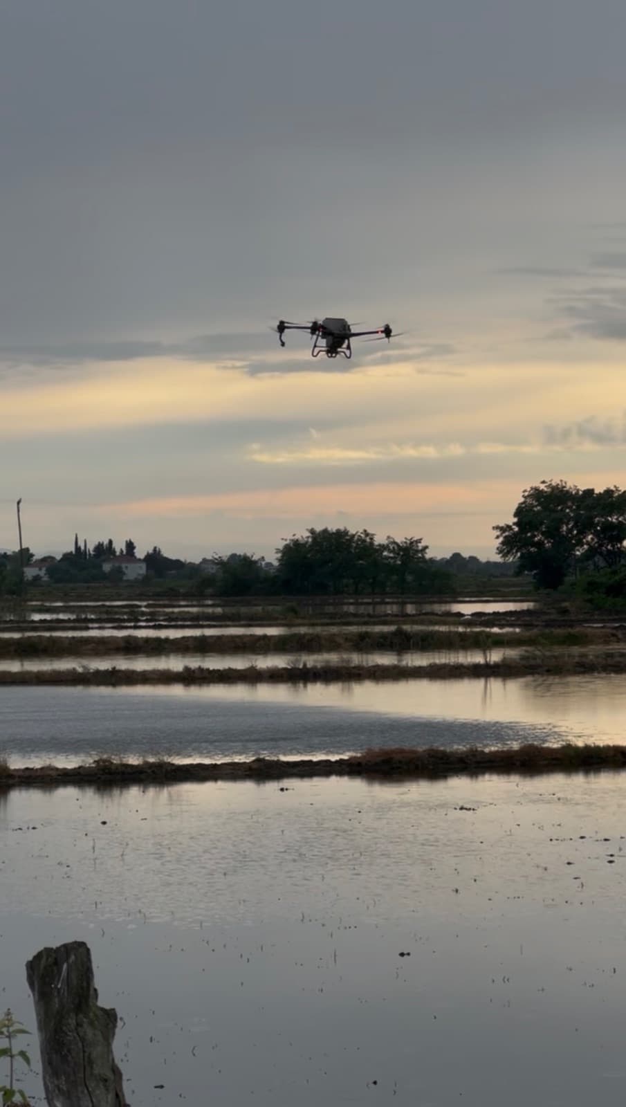 DJI AGRAS T40 İLE PROFESYONEL ZİRAİ DRON HİZMETLERİ, fotoğraf 2